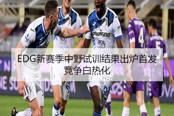 EDG新赛季中野试训结果出炉首发竞争白热化